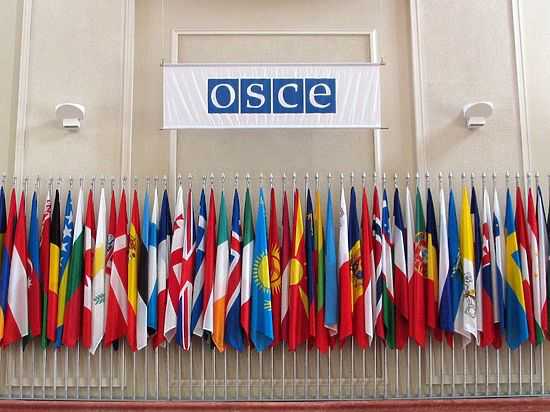 Это не парламентаризм: делегация России демонстративно покинула ОБСЕ